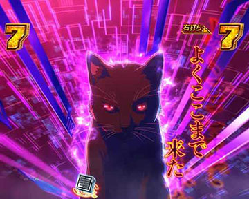 黒猫ジャッジメントリーチ