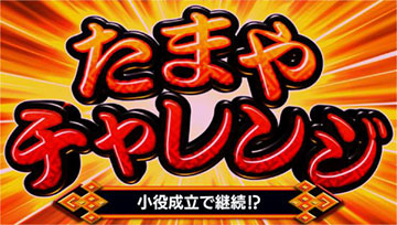 たまやチャレンジ①