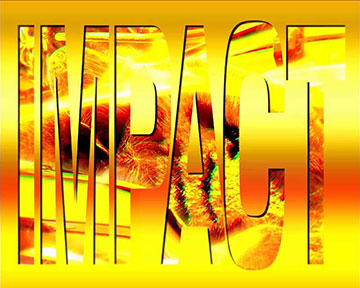 W家紋インパクト