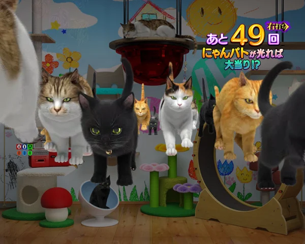 猫群予告
