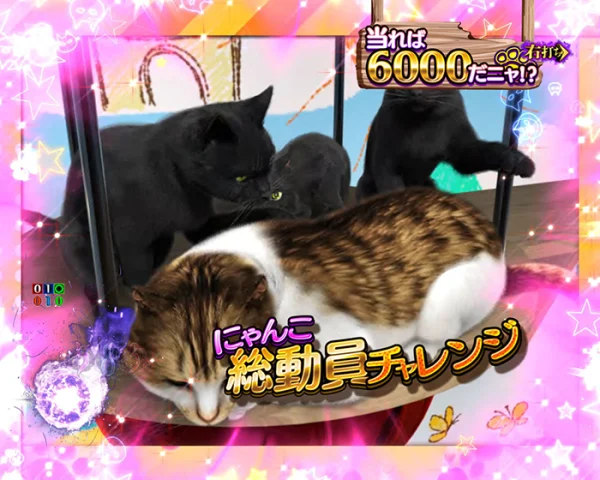 にゃんこ総動員予告