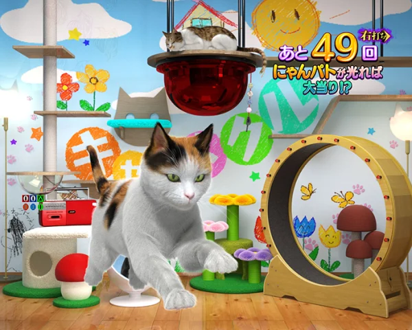 猫わちゃわちゃ予告