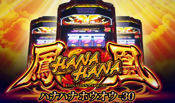 11844円 【おすすめ】 ハナハナ ホウオウ EX-30
